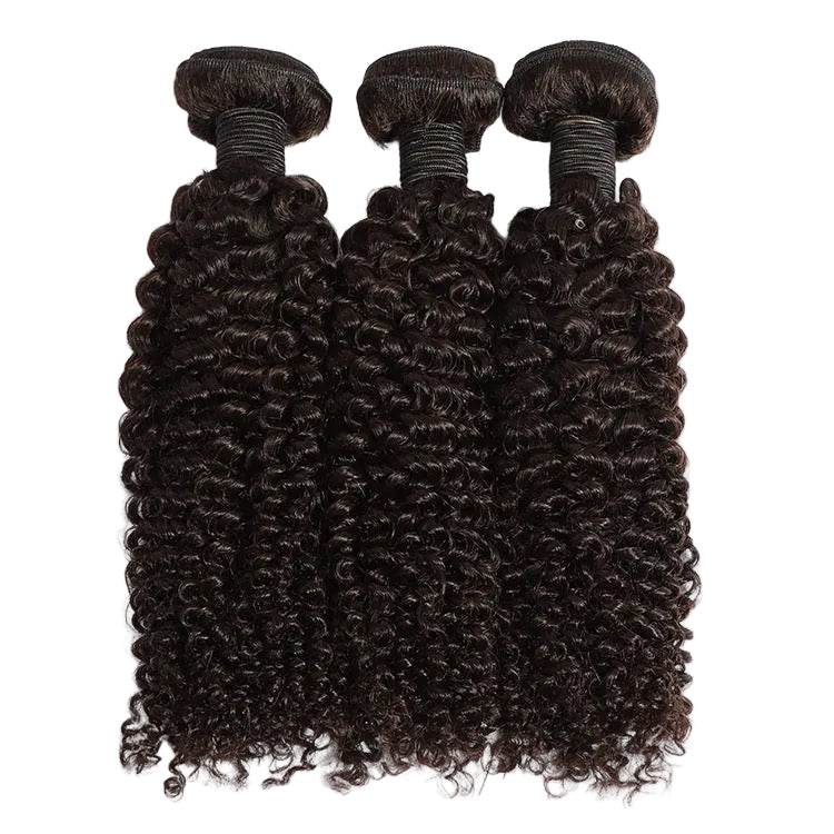 3 Luxury Raw Kinky Curly Bundles