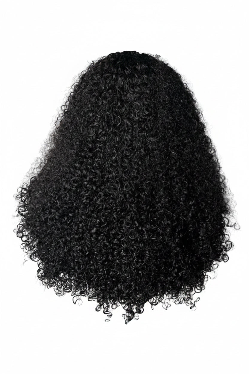 Raw 13x6 Luxury HD Kinky Curly Wig